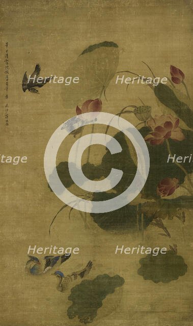 Birds and lotus, 1701. Creator: Jiang Tingxi.