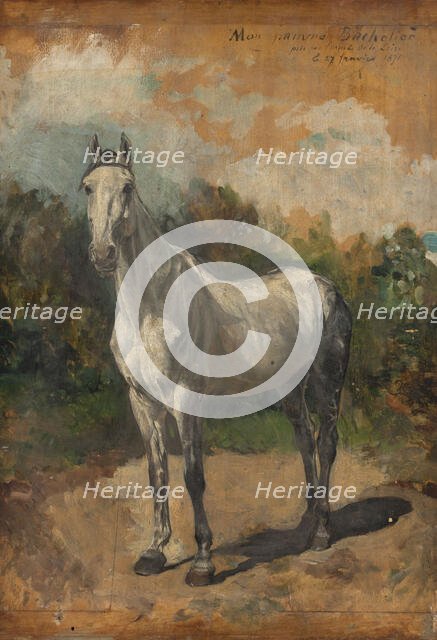 Bachelor, artist's horse, 1871. Creator: Jean Louis Ernest Meissonier.