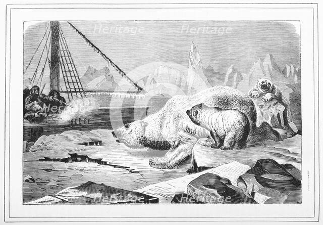 Shooting polar bears, 1880.  Creator: Unknown.