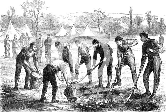 Sketches in Ireland: Property Defence Association: digging potatoes at Woodgyft, Co. Kilkenny, 1881. Creator: Unknown.