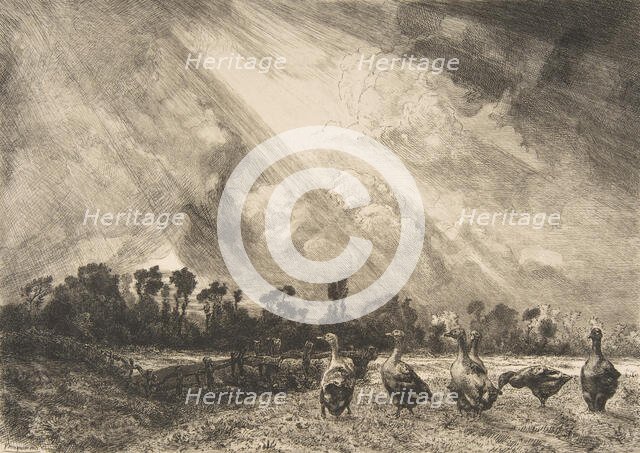 La Nuée d'orage, 1882-84. Creator: Felix Bracquemond.