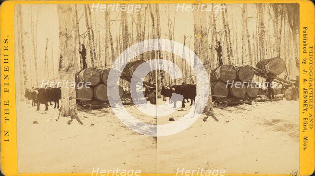 Loading at Thomas Poster's, c1850 - 1930. Creator: James A Jenney.