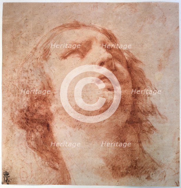 'Head study of a woman looking up', 17th century. Artist: Pietro da Cortona