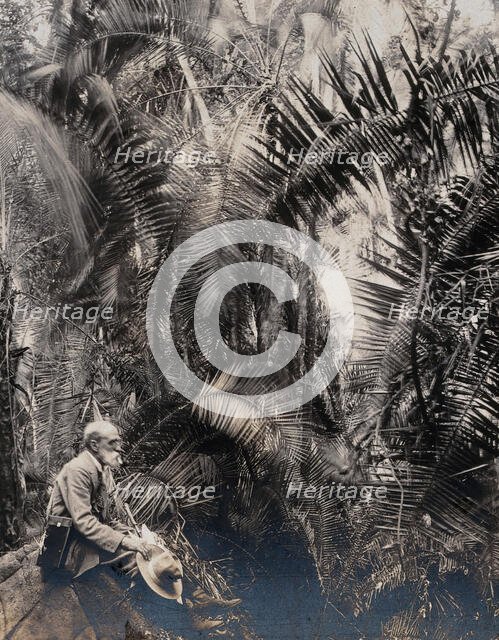 Zimbabwe: a member of the British Association sitting in a palm ravine, 1905. Creator: Geoffrey L Parsons.