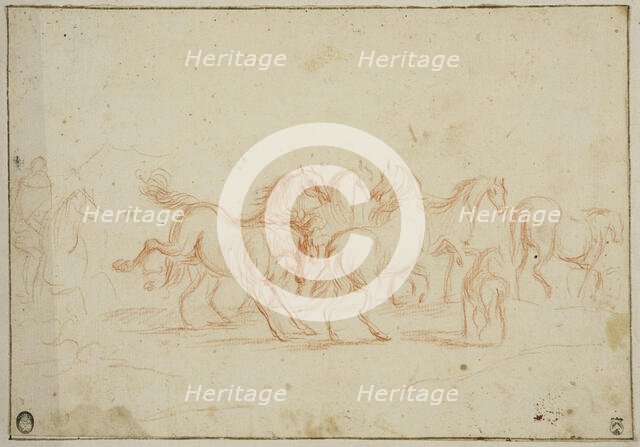 Horses, unknown date. Creator: Anon.