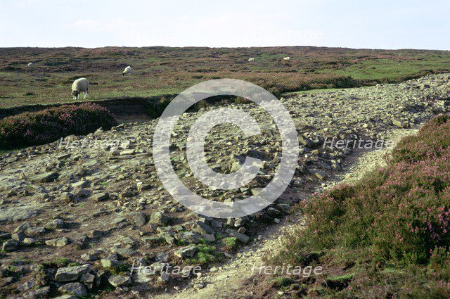 Roman road on Wheeldale Moor. Artist: Unknown