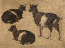 Goats, c1870s. Creator: Andre Plumot.