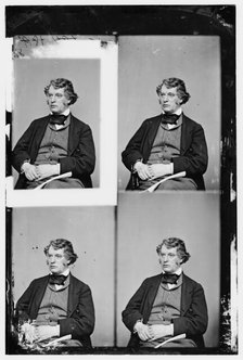 Charles Sumner of Massachusetts, between 1860 and 1875. Creator: Unknown.