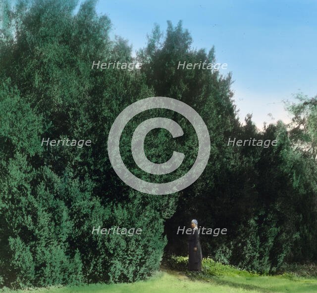 "Hickory Hill," Colonel Henry Taylor Wickham house, Ashland, Virginia, 1927. Creator: Frances Benjamin Johnston.