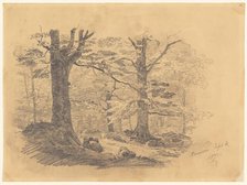 Forest, Ramsau, Germany, 1871. Creator: John Singer Sargent.