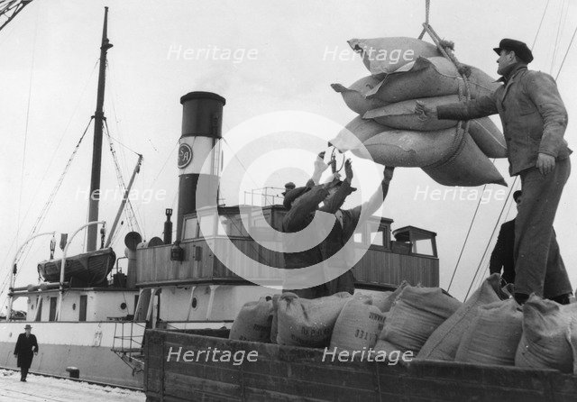 Unloading the freighter 'Helle', Trelleborg harbour, Sweden. Artist: Unknown