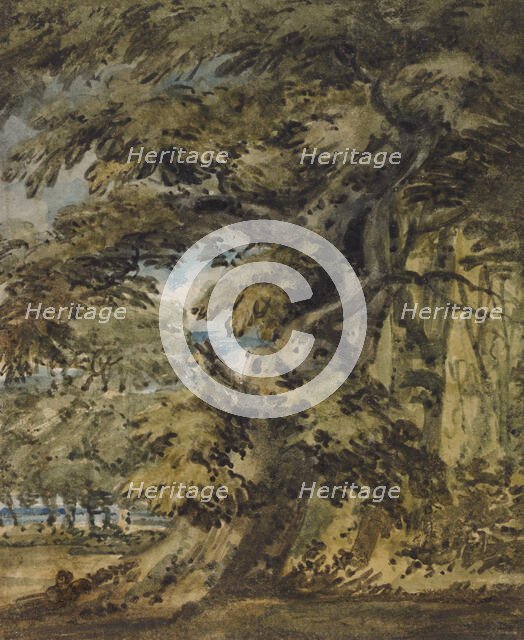 A Wooded Landscape, c1752. Creator: Thomas Girtin.