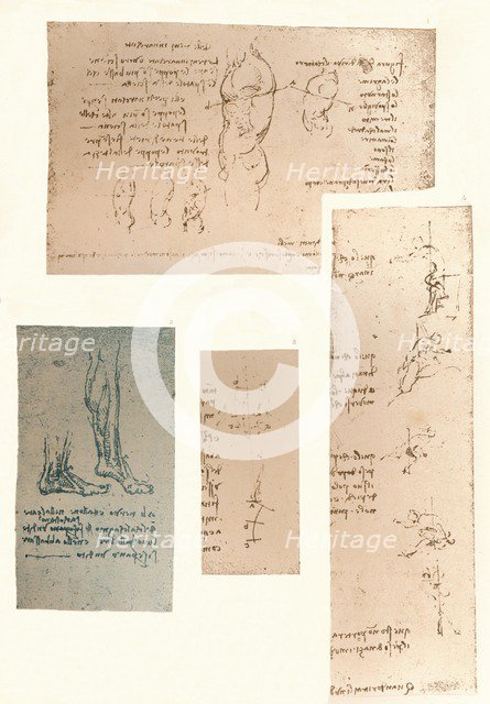 Four drawings illustrating the theory of the movements of the human figure, c1472-c1519 (1883). Artist: Leonardo da Vinci.