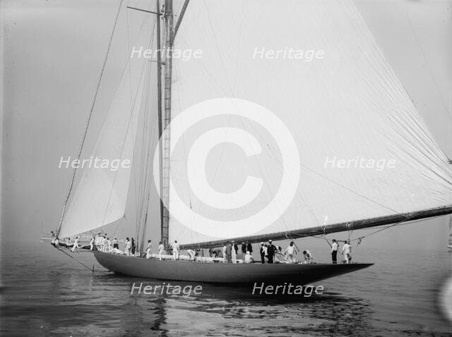 Shamrock, c1899. Creator: John S Johnston.