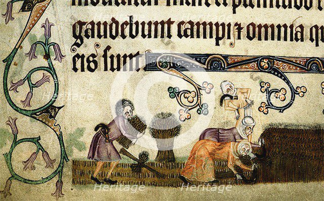Reaping and binding sheaves (From the Luttrell Psalter), ca 1330. Artist: Anonymous  