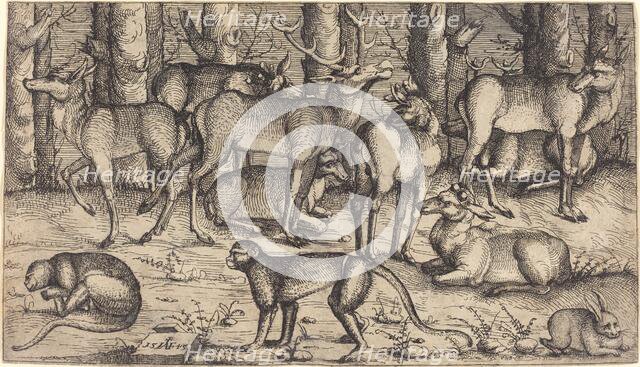 Stags in the Forest, 1545. Creator: Augustin Hirschvogel.
