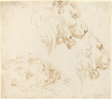 Studies of a Lion's Head. Creator: Stefano della Bella.