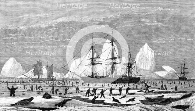 The International Fisheries Exhibition: model to illustrate seal-hunting, Newfoundland Section, 1883 Creator: Unknown.