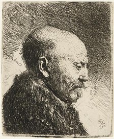 Bald headed man in profile right: Rembrandt's father? 1630. Creator: Rembrandt Harmensz van Rijn.