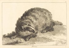 Blereau (Badger). Creator: Jacques Philippe Le Bas.