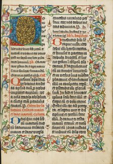 Decorated Initial D; Missal, about 1500-1505. Creator: Unknown.