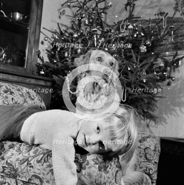 Child, dog and Christmas tree, December 1960. Artist: John Gay