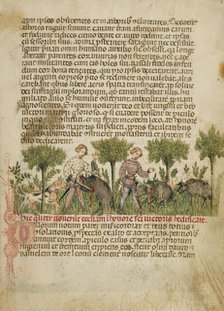 Aimo and Vermondo Killing Two Wild Boars, about 1400. Creator: Anovelo da Imbonate.