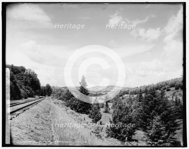Mill River Valley bridge, Green Mountains, between 1900 and 1906. Creator: Unknown.