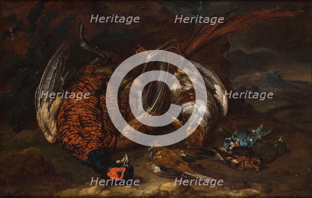 Slaughtered Birds, 1st half of 18th century. Creator: Philipp von Purgau.