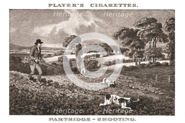 'Partridge-Shooting', (1924). Creator: Unknown.