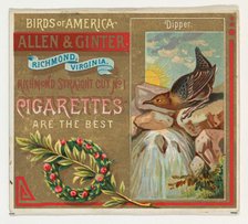 Dipper, from the Birds of America series (N37) for Allen & Ginter Cigarettes, 1888., 1888. Creator: Allen & Ginter.