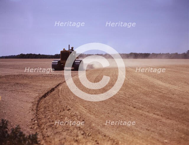 Cultivating a field, Seabrook Farm, Bridgeton, N.J., 1942. Creator: John Collier.