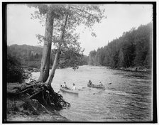 An Adirondack mountain stream, c1902. Creator: William H. Jackson.