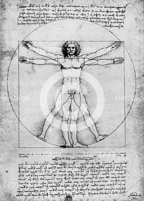 'Proportions of the human figure', c1492, (1936). Artist: Albrecht Dürer