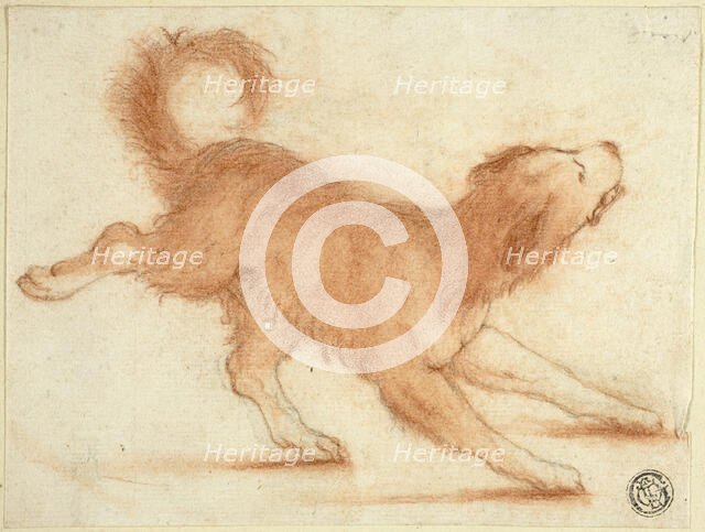Growling Dog Ready to Pounce, 1695-1721. Creator: Dirk Valkenburg.