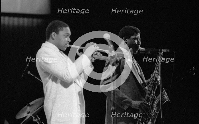 Wynton Marsalis (T Williams), Capital Jazz Festival, RFH, London, 1988.  Artist: Brian O'Connor.