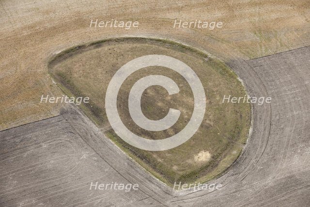 Early Iron Age enclosed settlement earthwork, Cow Down, Wiltshire, 2015. Creator: Damian Grady.