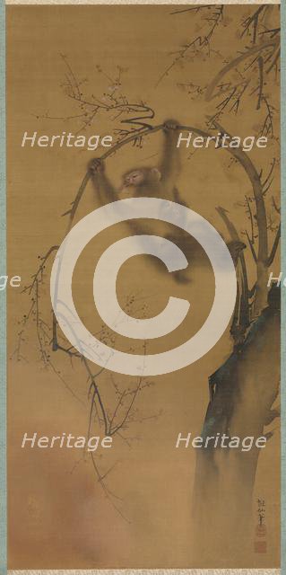 Monkeys in a Cherry Tree, 1615-1868. Creator: Mori Sosen (Japanese, 1747-1821).