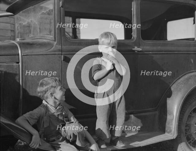 Possibly: Bean pickers' children came from Kansas..., near West Stayton, Marion County, Oregon, 1939 Creator: Dorothea Lange.