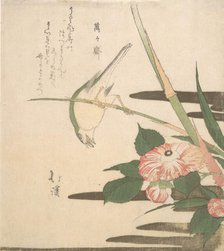 Warbler and Camellia, ca. 1815-20. Creator: Totoya Hokkei.