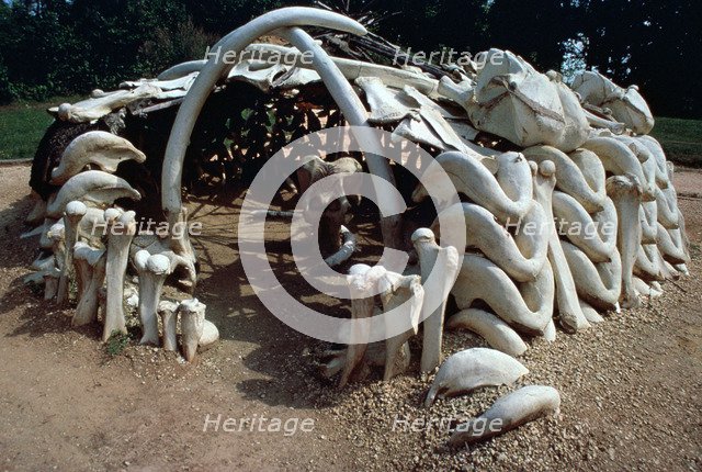 Paleolithic mammoth hunter's hut. Artist: Unknown