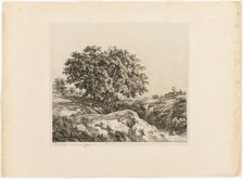 The Bouquet of Trees, or The Lindens (Souvenir of the Sarthe), 1861. Creator: Eugene Blery.