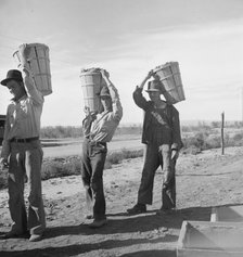 Pea pickers coming in from field to the weigh master, Imperial Valley, California, 1939. Creator: Dorothea Lange.