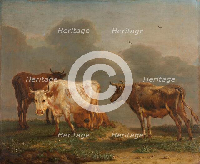 Four Young Bulls in a Meadow, 1651. Creator: Paulus Potter.
