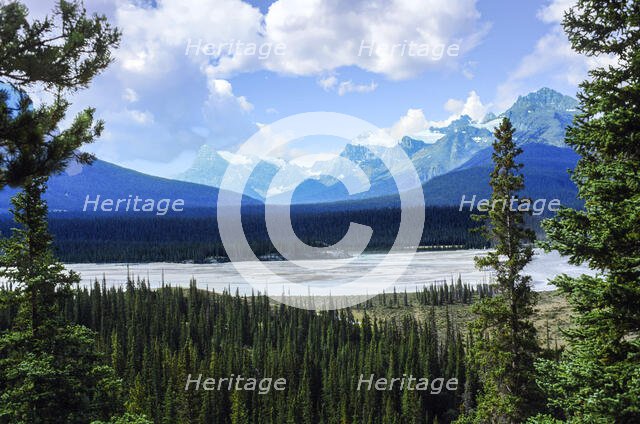 The Blues and The Greens. Creator: Robert Manno.