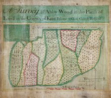 Map of Abbey Wood, part of Erith or Lesnes Manor on the eastern boundary of Woolwich, Kent, 1791. Artist: Anon