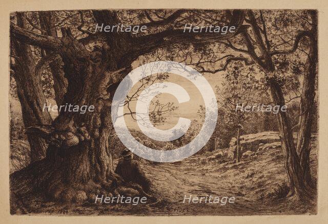 On The Hillside, 1880. Creator: Henry Farrer.