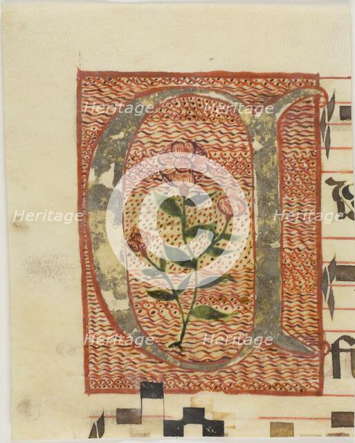 Decorated Initial "A" with Flower from a Manuscript, n.d. Creator: Unknown.