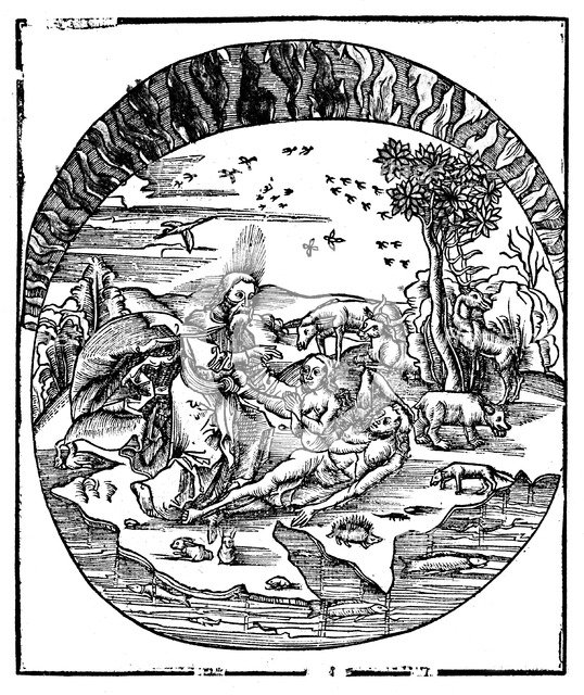 God creating Eve from Adam's rib, 1508. Artist: Unknown