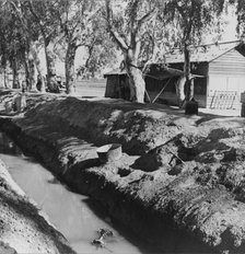 Ditch bank housing for Mexican field workers, Imperial Valley, California, 1937. Creator: Dorothea Lange.